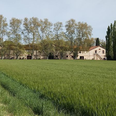 La Cave De Grand Cabane Fourques  Zewnętrze zdjęcie