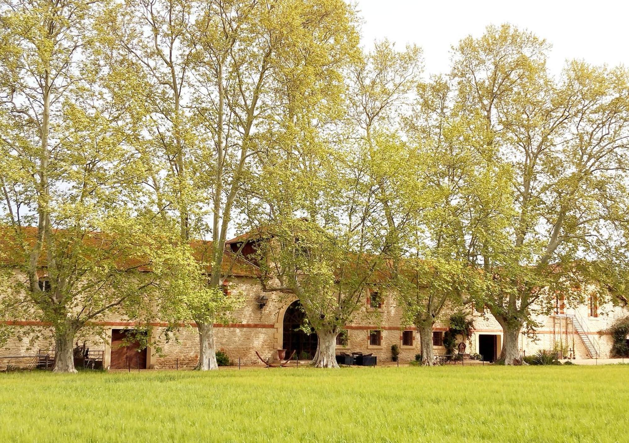 La Cave De Grand Cabane Fourques  Zewnętrze zdjęcie